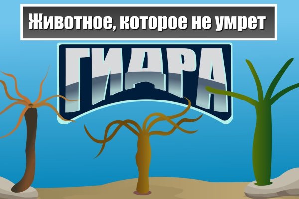 Кракен маркетплейс kr2web in площадка торговая